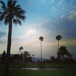 Palm trees against cloudy sky