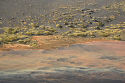 Icelandic landscape seen from the airplane
