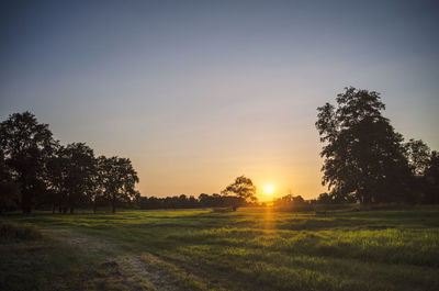 Silhouette trees on field against sky during sunset