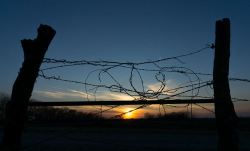 Scenic view of field at sunset