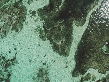 Aerial view of beach