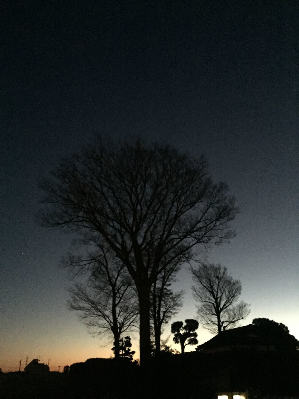 tree, silhouette, sky, bare tree, tranquility, nature, low angle view, dusk, tranquil scene, water, beauty in nature, outdoors, clear sky, one animal, lake, no people, animal themes, scenics, reflection, copy space