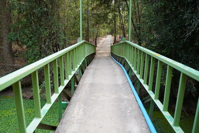 View of footbridge in forest