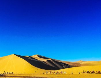 Scenic view of landscape against clear blue sky