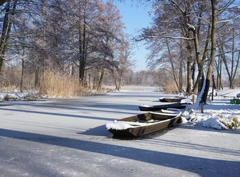 Snow covered road by bare trees in city