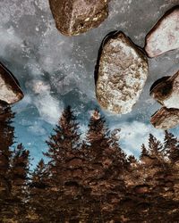 Reflection of trees and rocks in water at night