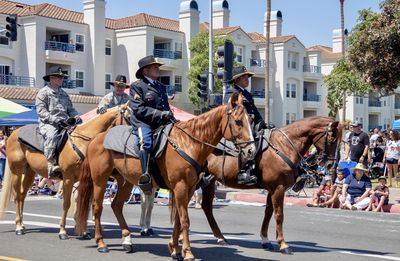 People riding horses on street in city