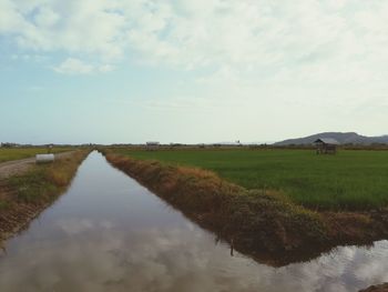 Scenic view of field against sky