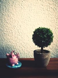 Close-up of potted plant on table against wall