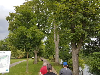 Rear view of people on road amidst trees against sky