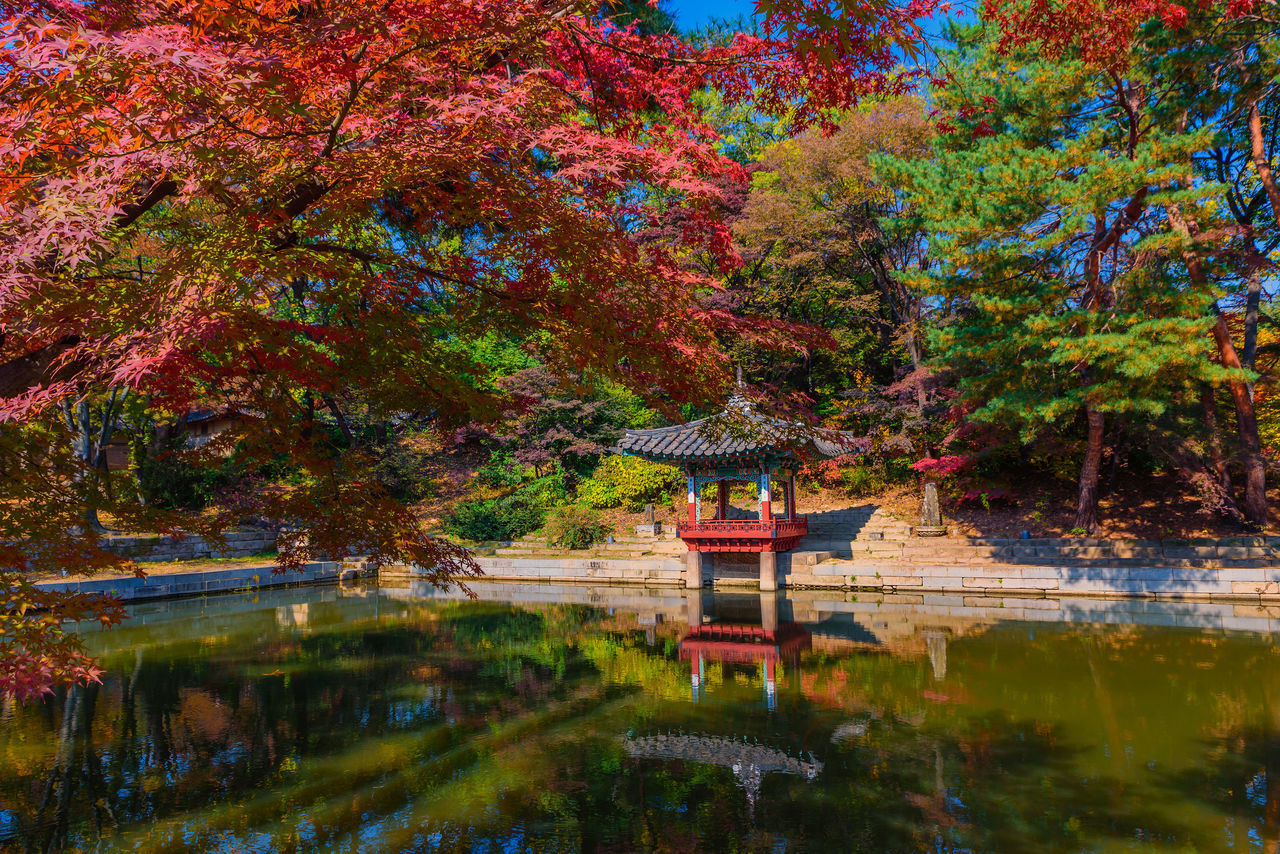 SCENIC VIEW OF LAKE BY TREES