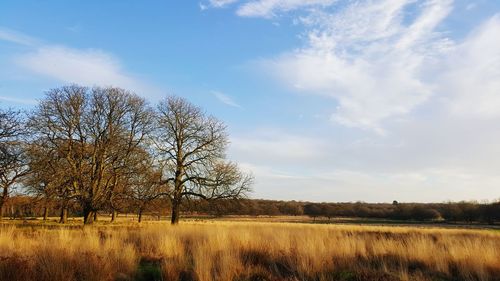 Scenic view of grassy field against cloudy sky