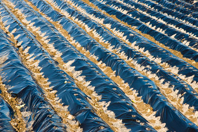 Full frame shot of crops on field