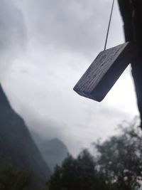 Low angle view of hanging from tree against sky