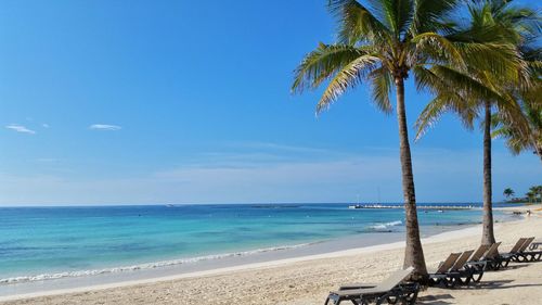 Scenic view of beach against blue sky