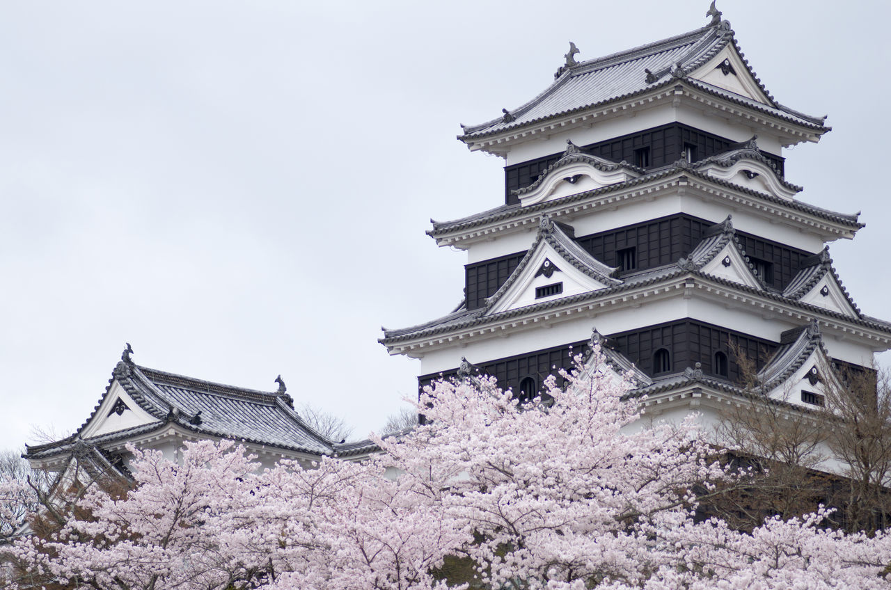 architecture, low angle view, building exterior, built structure, clear sky, place of worship, religion, spirituality, tree, history, flower, sky, famous place, temple - building, day, travel destinations, outdoors, church, tower