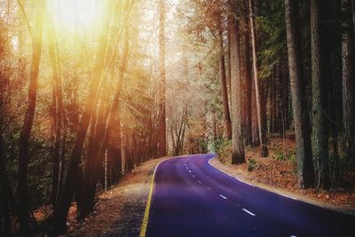 Road amidst trees in forest