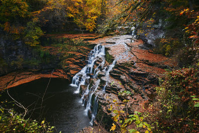 High angle view of waterfall on rocks in forest during autumn 