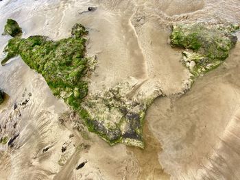 High angle view of beach