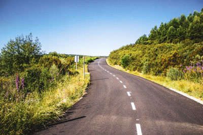 Road surrounded by forest and vegetation against blue sky