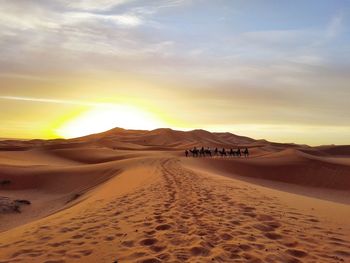 Scenic view of desert against sky during sunset