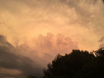 Low angle view of tree against sky during sunset