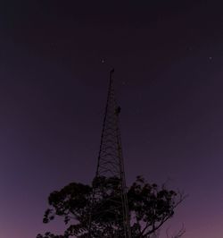 Low angle view of trees against clear sky at night