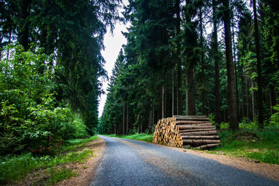 Road amidst trees in forest