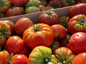 Full frame shot of tomatoes for sale at market stall