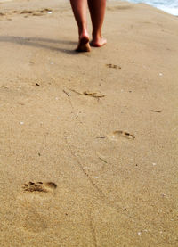 Low section of woman walking on beach