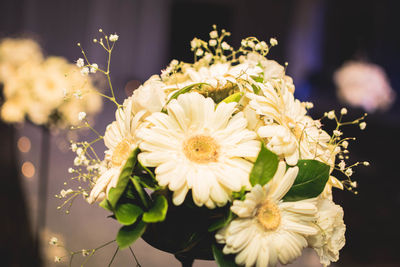 Close-up of flowers