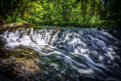 Scenic view of waterfall in forest