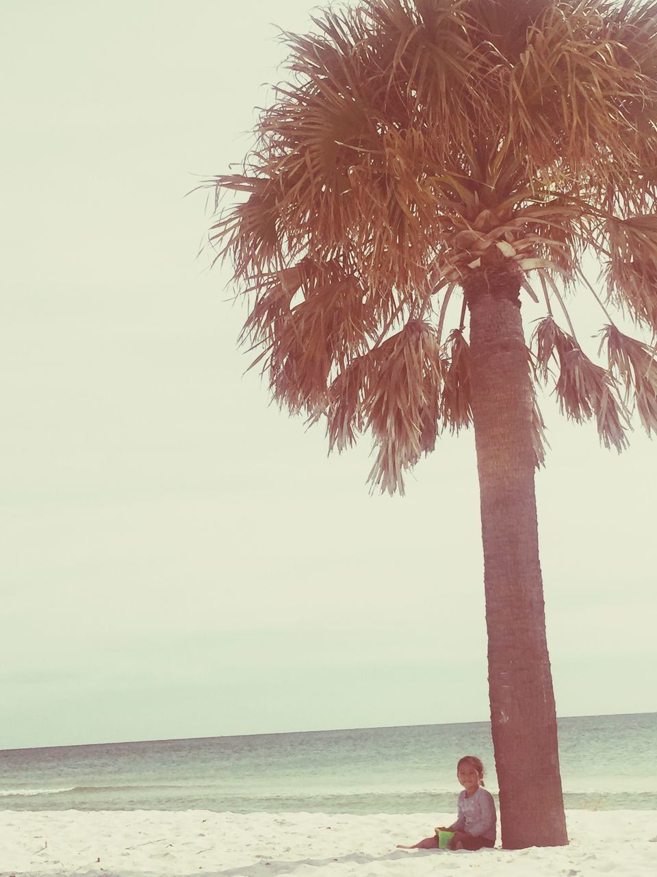 beach, sea, leisure activity, lifestyles, tree, water, shore, tranquility, horizon over water, tranquil scene, sand, nature, men, person, beauty in nature, sky, scenics, relaxation