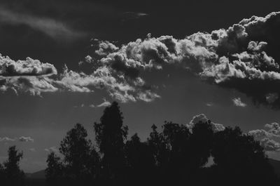 Low angle view of trees against sky