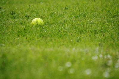 Close-up of green ball on field