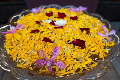 High angle view of various flowers in container