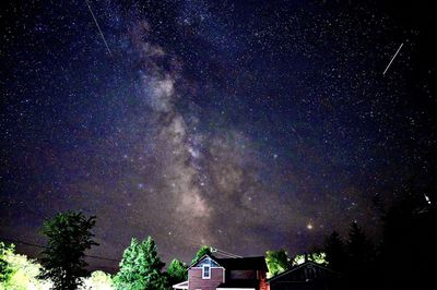 Low angle view of trees against sky at night