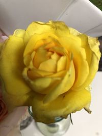 Close-up of yellow rose bouquet