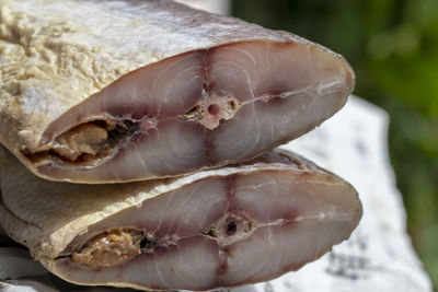 Close-up of shell