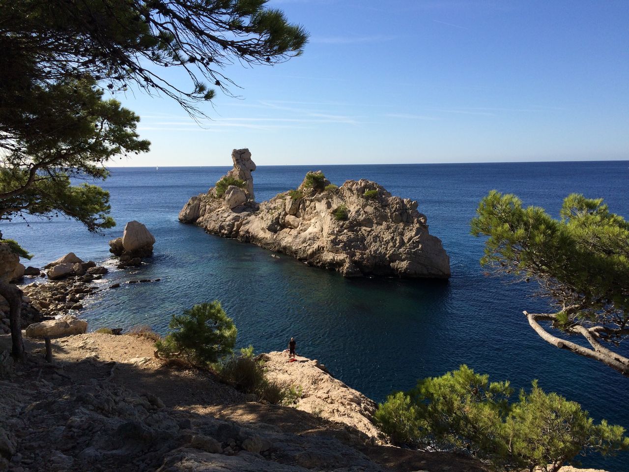 sea, water, tree, horizon over water, tranquil scene, scenics, beauty in nature, blue, tranquility, high angle view, clear sky, nature, idyllic, growth, remote, plant, branch, non-urban scene, sky, tourism, day, outdoors, no people, seascape, shore, coastline, vacations, rock formation