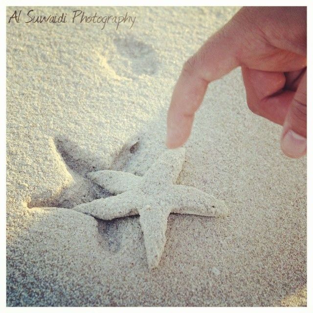 transfer print, person, auto post production filter, part of, cropped, human finger, lifestyles, unrecognizable person, holding, close-up, men, leisure activity, high angle view, outdoors, day, sand