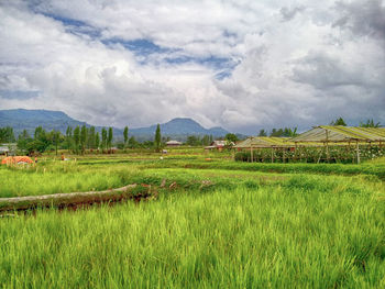 Scenic view of field against cloudy sky