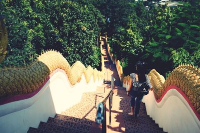 Panoramic view of trees