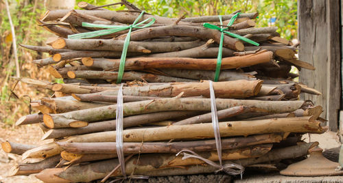 Stack of logs in forest