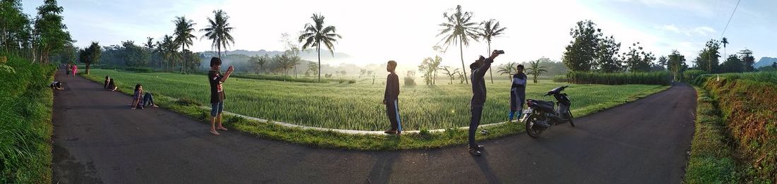 Panoramic shot of field against sky