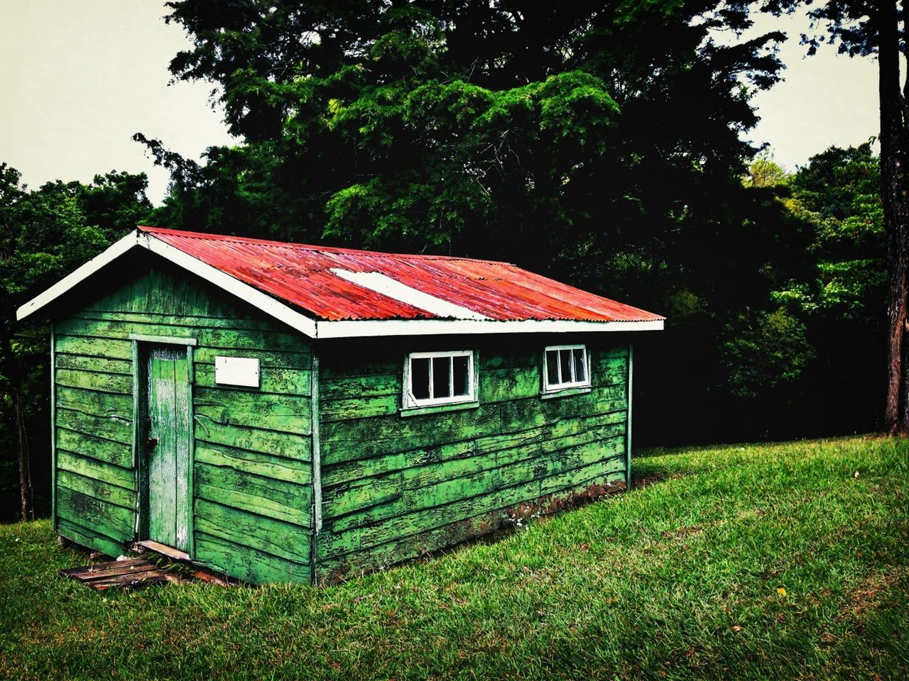 building exterior, built structure, architecture, house, tree, grass, residential structure, roof, field, clear sky, barn, growth, day, wood - material, outdoors, green color, no people, red, residential building, plant