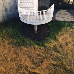 Close-up of wicker basket on grass