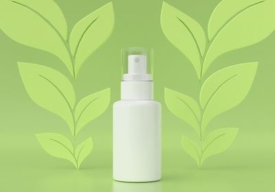 Close-up of green plant against white wall