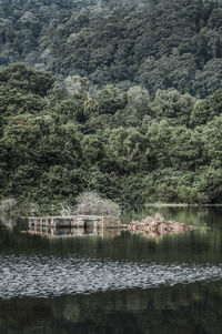 Scenic view of lake by trees against sky