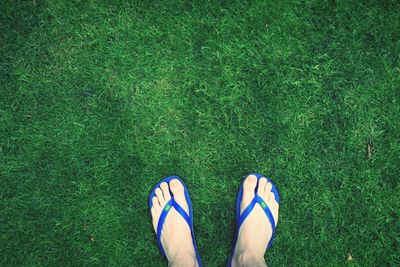 Low section of person on grassy field